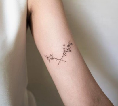 螢幕快照 2017-11-17 上午9.57.03