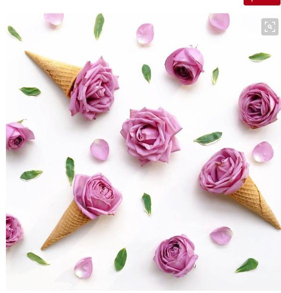 6905ee9b6a5b2d5790822a335514fe14