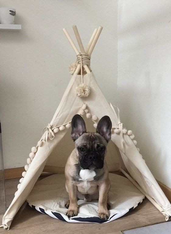 cfa639c490e4053dd465cdd03f5e68f0