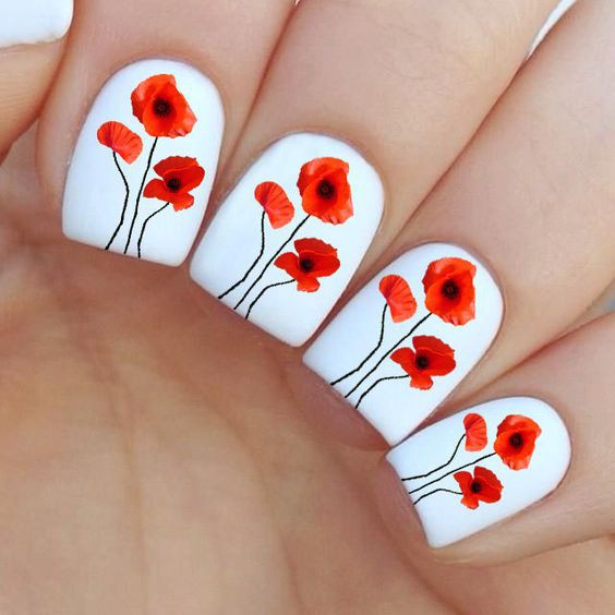 d8f37602df19a0dbc7b326bab01670e7