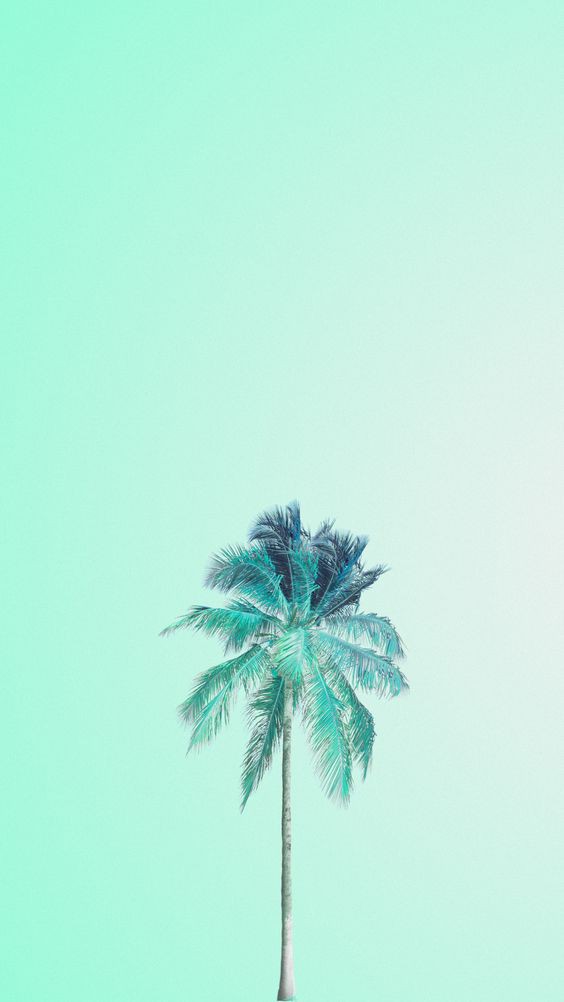 e92611ab720b548a7d2e8f69f02dd86e