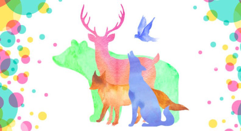 螢幕快照 2017-12-06 上午10.22.34