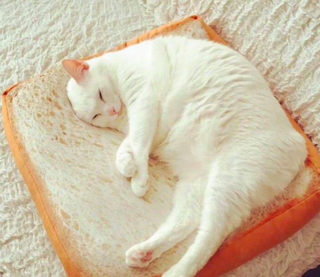 螢幕快照 2017-12-07 下午5.14.58