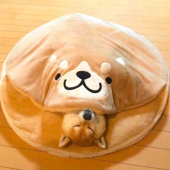 螢幕快照 2017-12-11 上午10.55.28