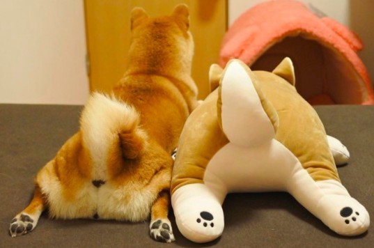 螢幕快照 2017-12-11 上午10.55.52