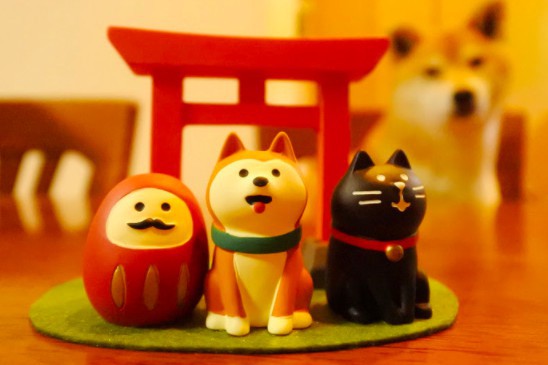 螢幕快照 2017-12-11 上午10.56.17