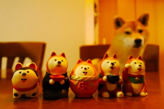 螢幕快照 2017-12-11 上午10.56.25