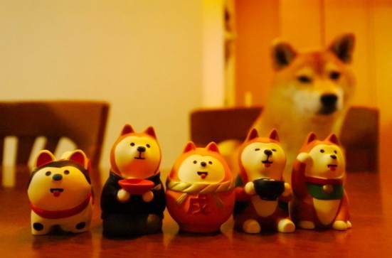 螢幕快照 2017-12-11 上午10.57.06