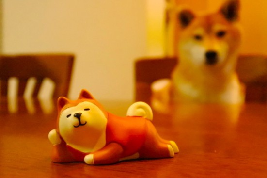 螢幕快照 2017-12-11 上午10.57.13