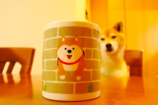 螢幕快照 2017-12-11 上午10.57.27