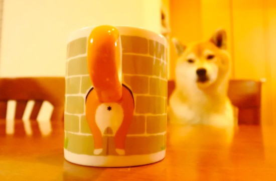 螢幕快照 2017-12-11 上午10.57.35