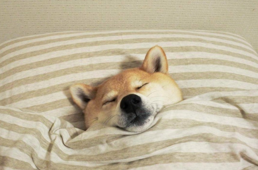 螢幕快照 2017-12-11 上午10.59.24