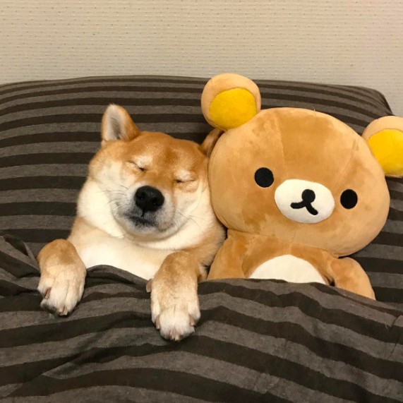 螢幕快照 2017-12-11 上午10.59.31