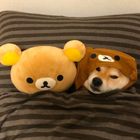 螢幕快照 2017-12-11 上午10.59.39