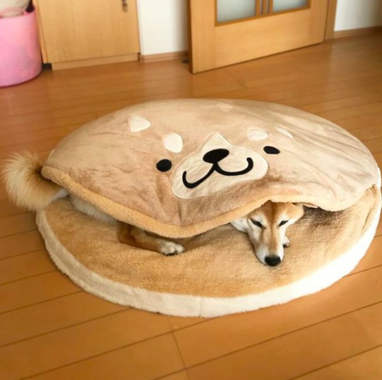 螢幕快照 2017-12-11 上午11.48.59