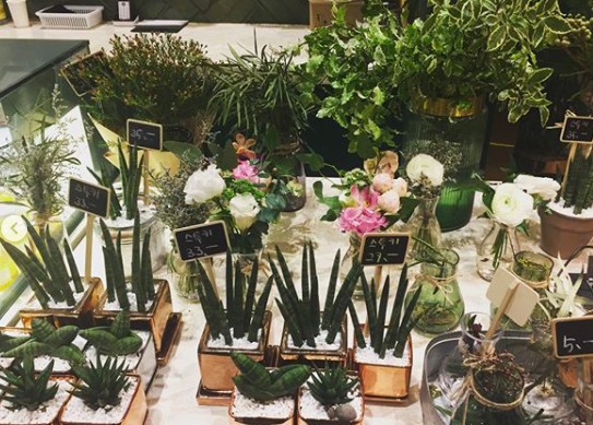 螢幕快照 2017-12-11 下午3.23.29