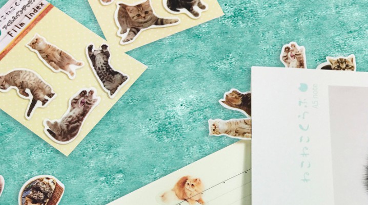 螢幕快照 2017-12-13 上午11.36.47