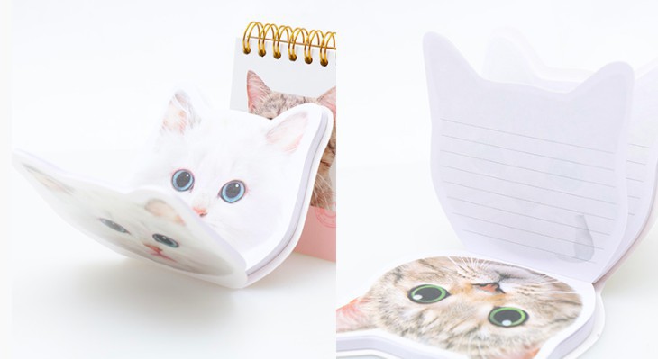 螢幕快照 2017-12-13 上午11.38.21