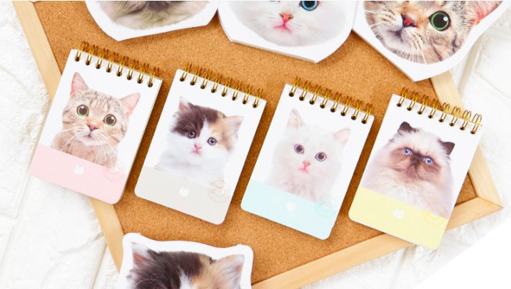 螢幕快照 2017-12-13 上午11.52.41