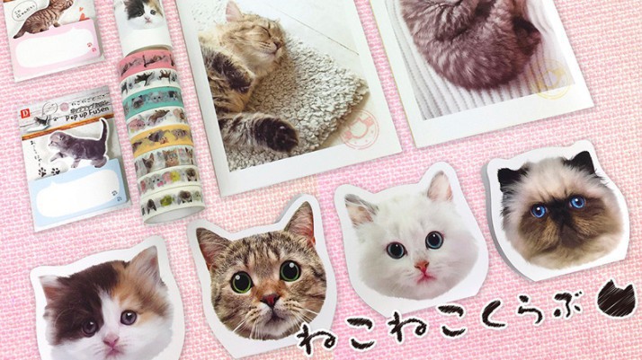 螢幕快照 2017-12-13 上午11.53.29