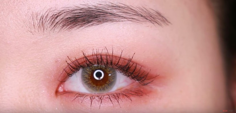 螢幕快照 2017-12-19 上午10.24.29