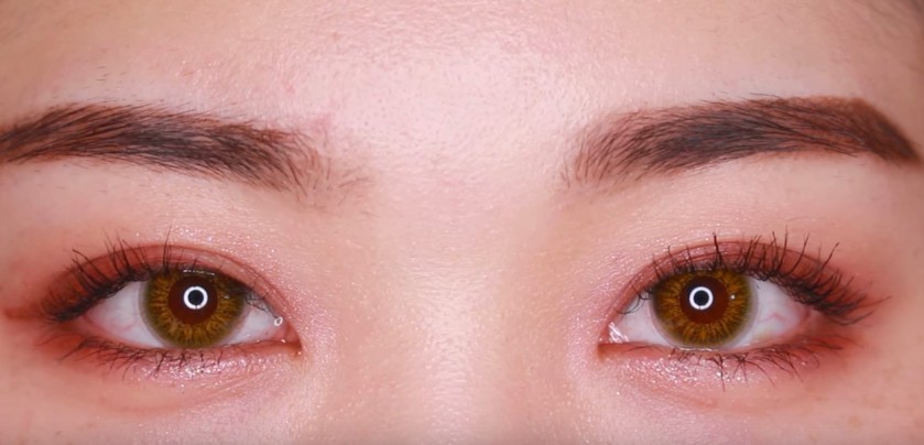 螢幕快照 2017-12-19 上午10.26.17