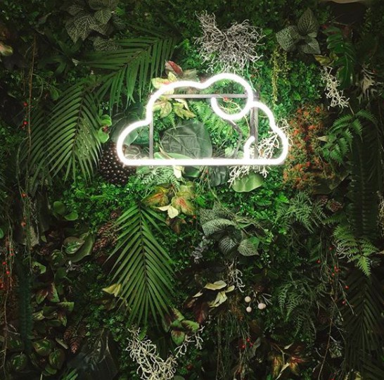 螢幕快照 2017-12-19 下午1.12.41