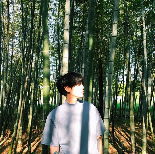 螢幕快照 2017-12-20 下午1.53.12