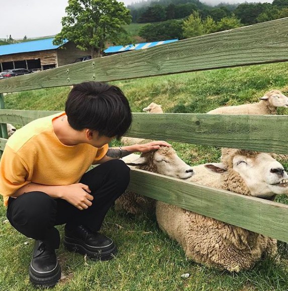 螢幕快照 2017-12-20 下午1.53.44