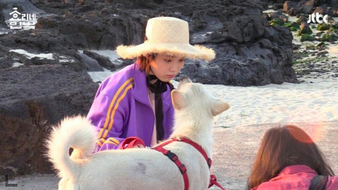 螢幕快照 2017-12-21 上午10.49.18