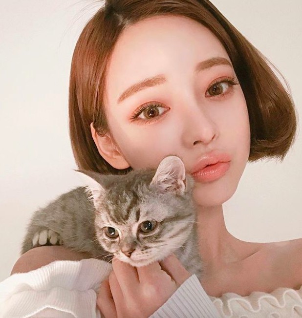 螢幕快照 2017-12-21 下午12.27.55