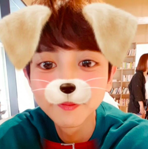 螢幕快照 2017-12-25 下午12.14.19