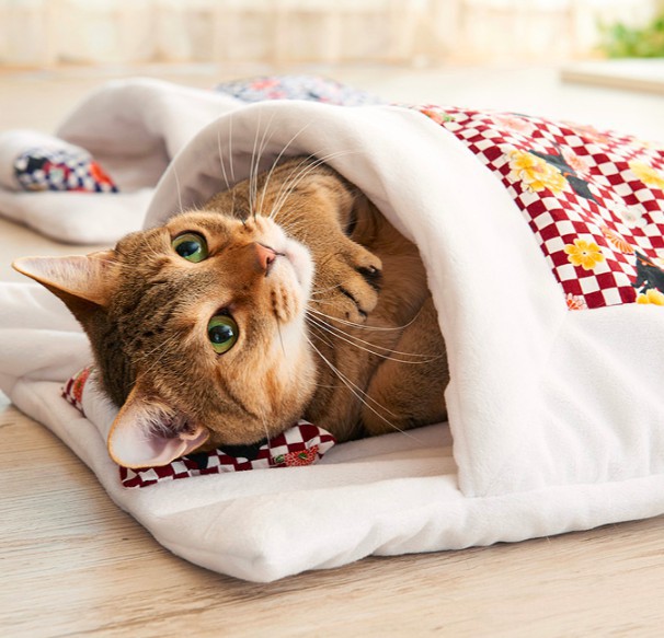 螢幕快照 2017-12-26 上午11.49.54