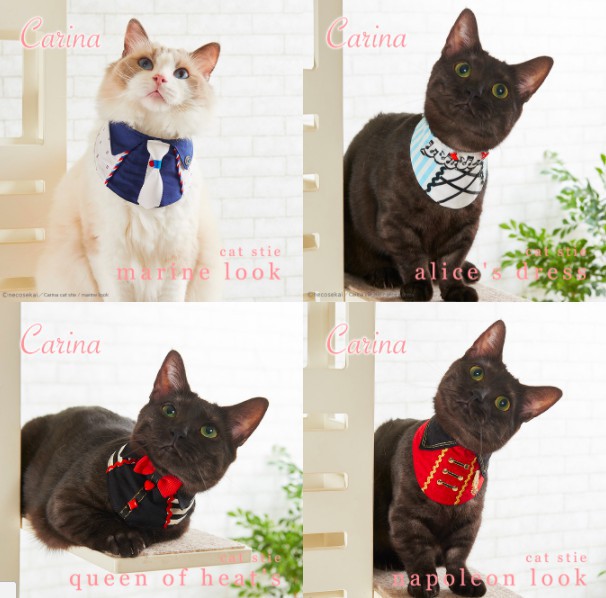 螢幕快照 2017-12-26 下午12.37.29