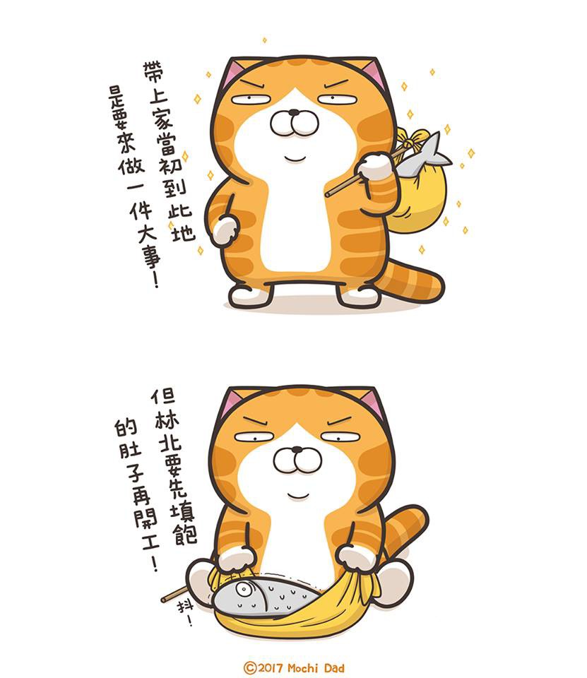 21432911_125808398073938_2777102666511110407_n