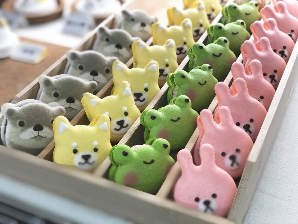 24176949_1743195535989528_8378125473381415253_n