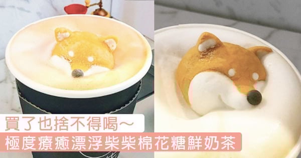 史上最萌!極度療癒系漂浮柴犬棉花糖鮮奶茶,逼真到想一起泡在牛奶一整天!買了也捨不得喝啊~