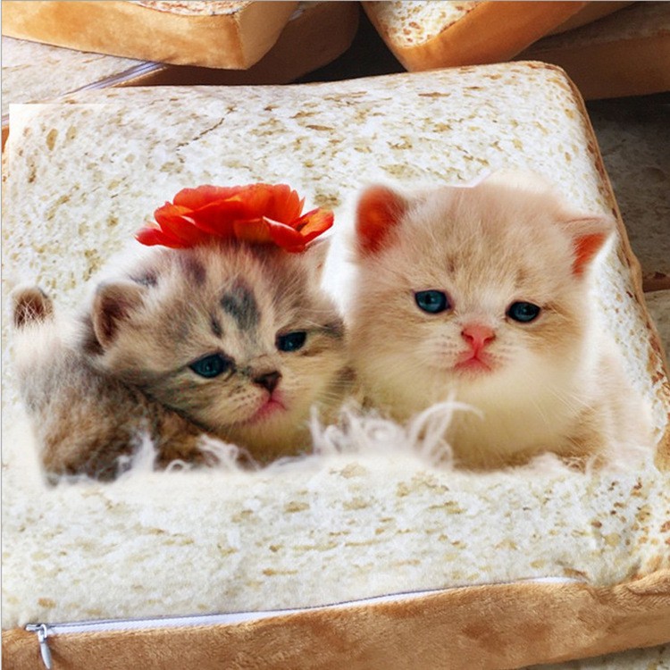 TB2OlaIt9VmpuFjSZFFXXcZApXa_!!753363202