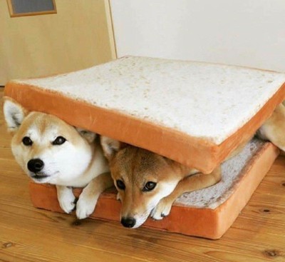 TB2lYSvX2jM8KJjSZFNXXbQjFXa_!!3205838652.jpg_400x400