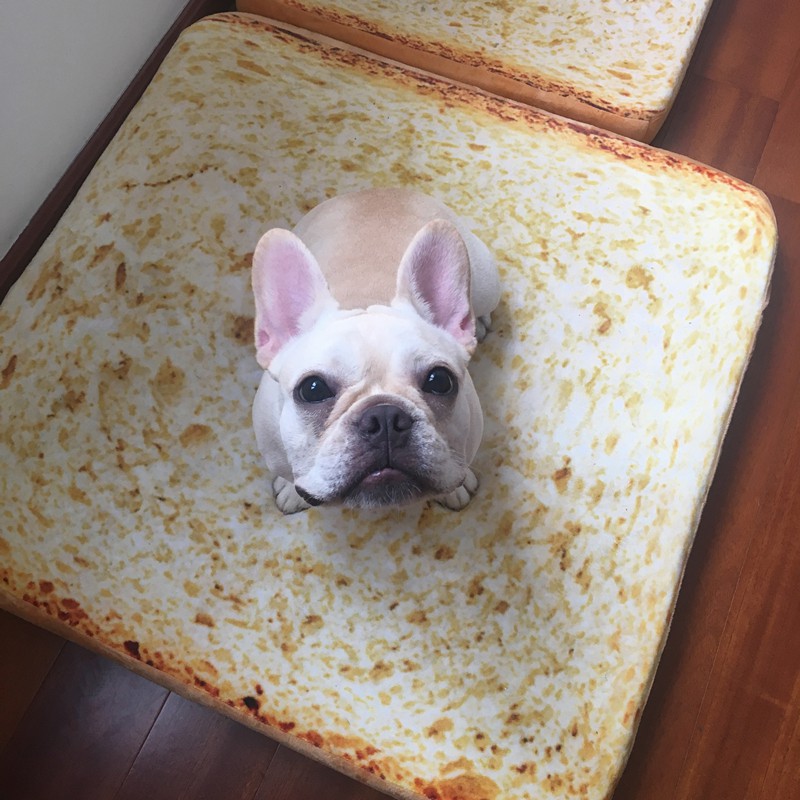 TB2palfebsTMeJjSszdXXcEupXa_!!2857332213