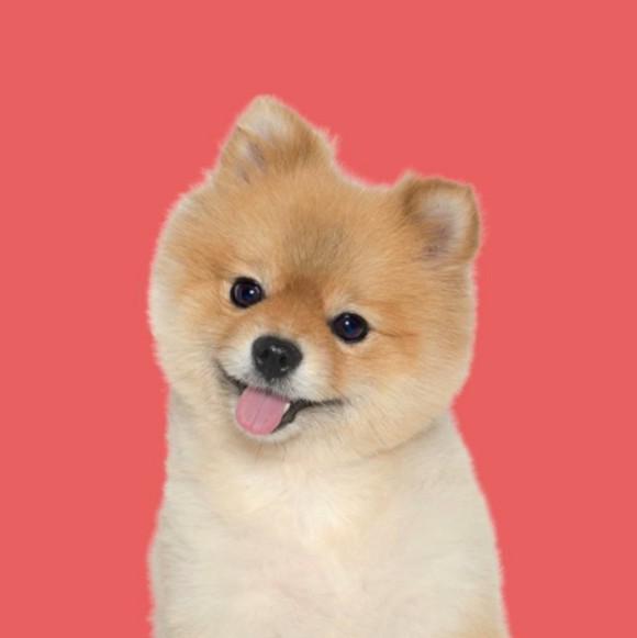 螢幕快照 2018-01-09 上午10.40.58