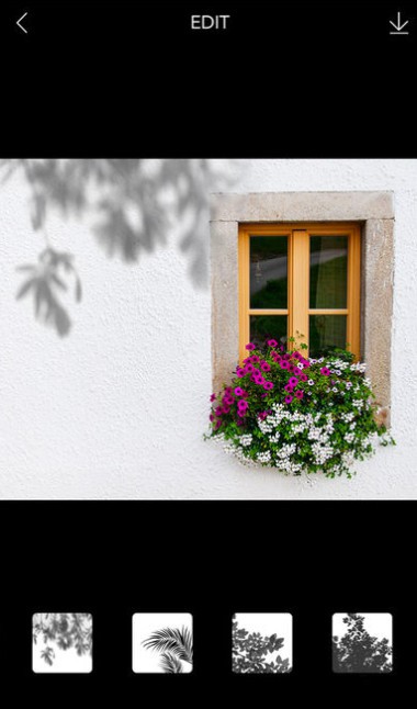 螢幕快照 2018-01-12 下午3.25.36