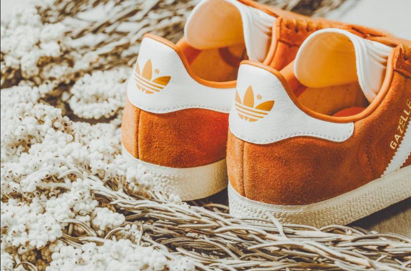 螢幕快照 2018-01-15 下午3.26.10