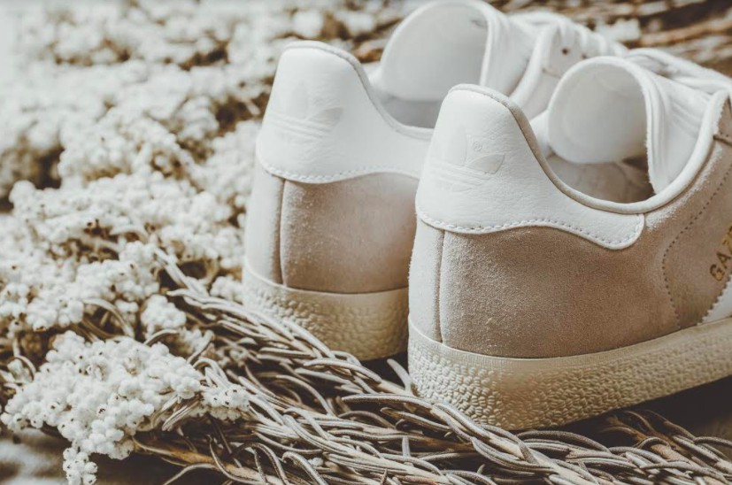 螢幕快照 2018-01-15 下午3.26.30