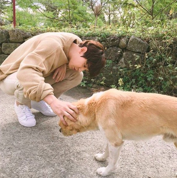 螢幕快照 2018-01-16 下午5.13.33