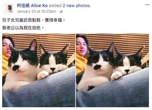 螢幕快照 2018-01-25 下午3.37.20