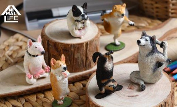 螢幕快照 2018-01-31 下午9.44.58