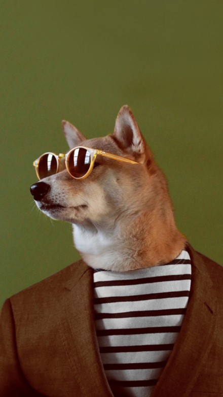 006XbVtFly1fklpd5blv9j30u01hc0zg