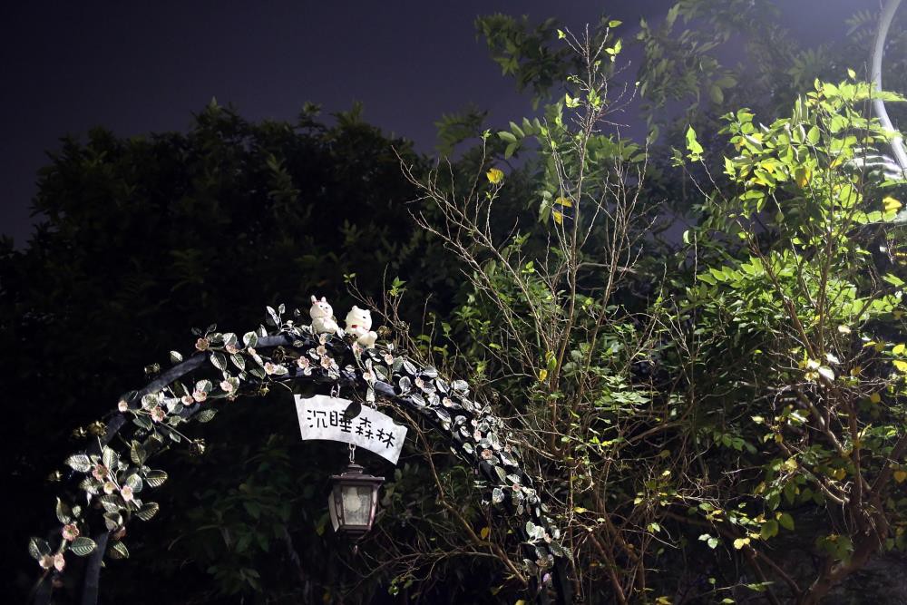 0FB_B6_171230203952_1000