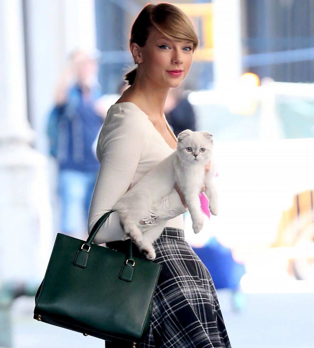 1411740832_taylor-swift-cat-zoom